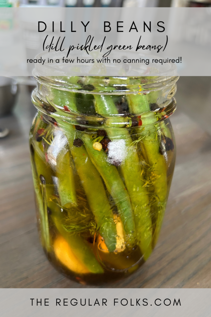 Dilly Beans (Dill Pickled Green Beans) - The Regular Folks