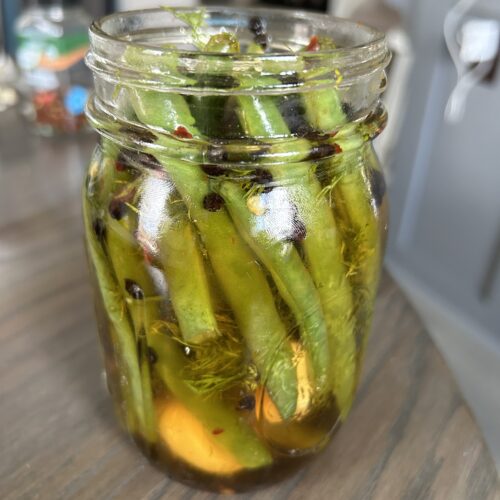 Dilly Beans (Dill Pickled Green Beans) The Regular Folks