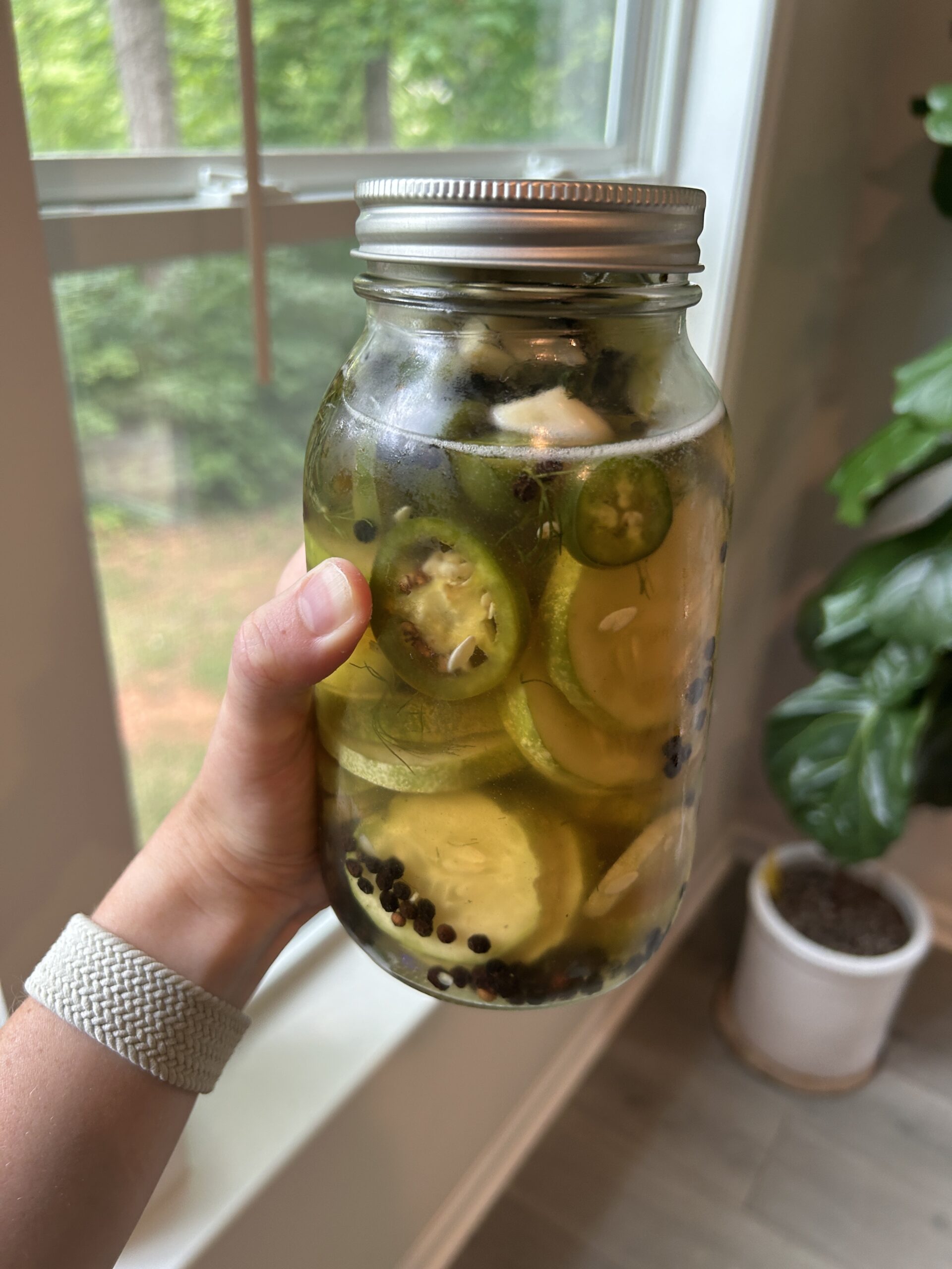 Easy Refrigerator Dill Pickles - The Regular Folks